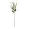 12 Pack: Green Amaranthus Stem by Ashland&#xAE;